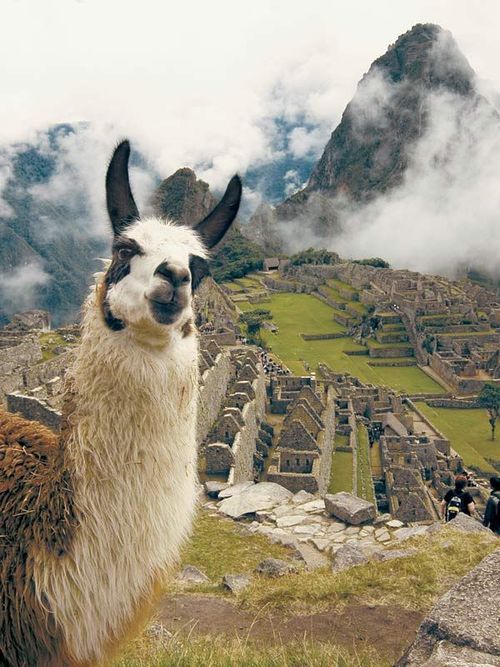 Machu Picchu – o aventură de neuitat - Travel & Beauty