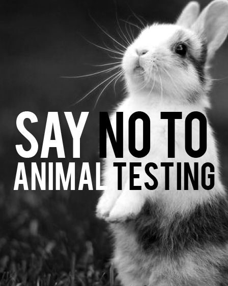 Cosmetice cruelty free, netestate pe animale - travelandbeauty.ro