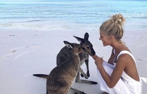 Animale exotice pe care merită să le vezi în propriul habitat - travelandbeauty.ro