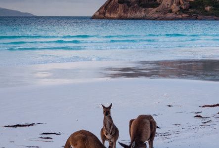 5 minuni naturale de vizitat în Australia - travelandbeauty.ro