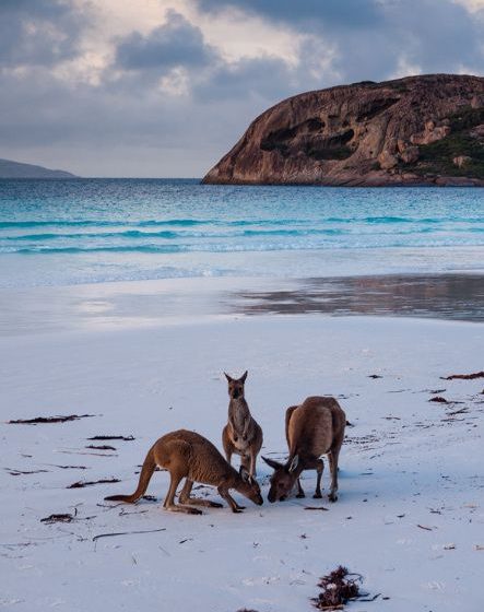5 minuni naturale de vizitat în Australia - travelandbeauty.ro