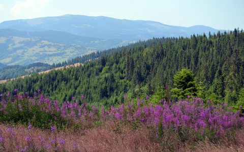 Cele mai frumoase parcuri naționale din România - travelandbeauty.ro
