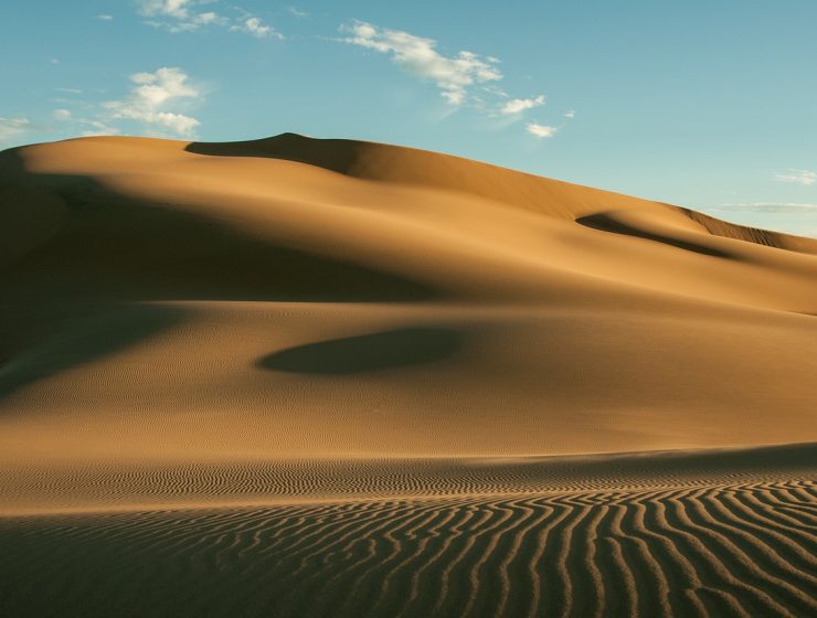 Al Marmoom Ultramarathon - cel mai lung maraton prin deșert - travelandbeauty.ro