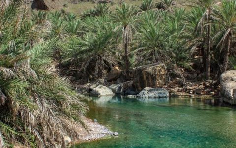 Socotra, insula extraterestră din Yemen - travelandbeauty.ro