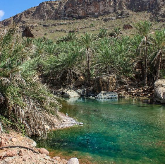 Socotra, insula extraterestră din Yemen - travelandbeauty.ro