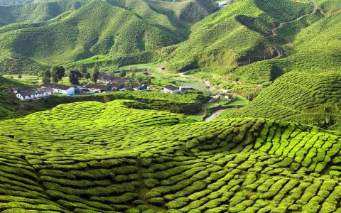 5 fotografii superbe care te vor inspira să vizitezi Malaezia - travelandbeauty.ro