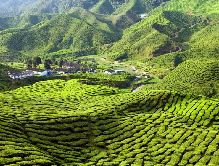 5 fotografii superbe care te vor inspira să vizitezi Malaezia - travelandbeauty.ro