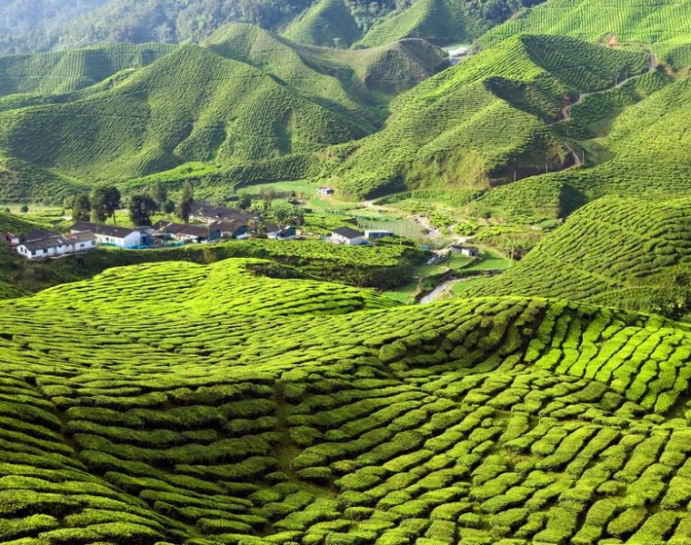 5 fotografii superbe care te vor inspira să vizitezi Malaezia - travelandbeauty.ro