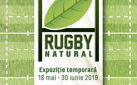 RUGBY, NATURAL! - travelandbeauty.ro